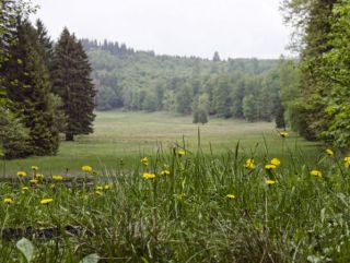 Rund um Rothesütte